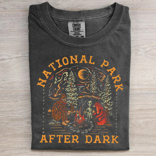 National Park After Dark T-shirt